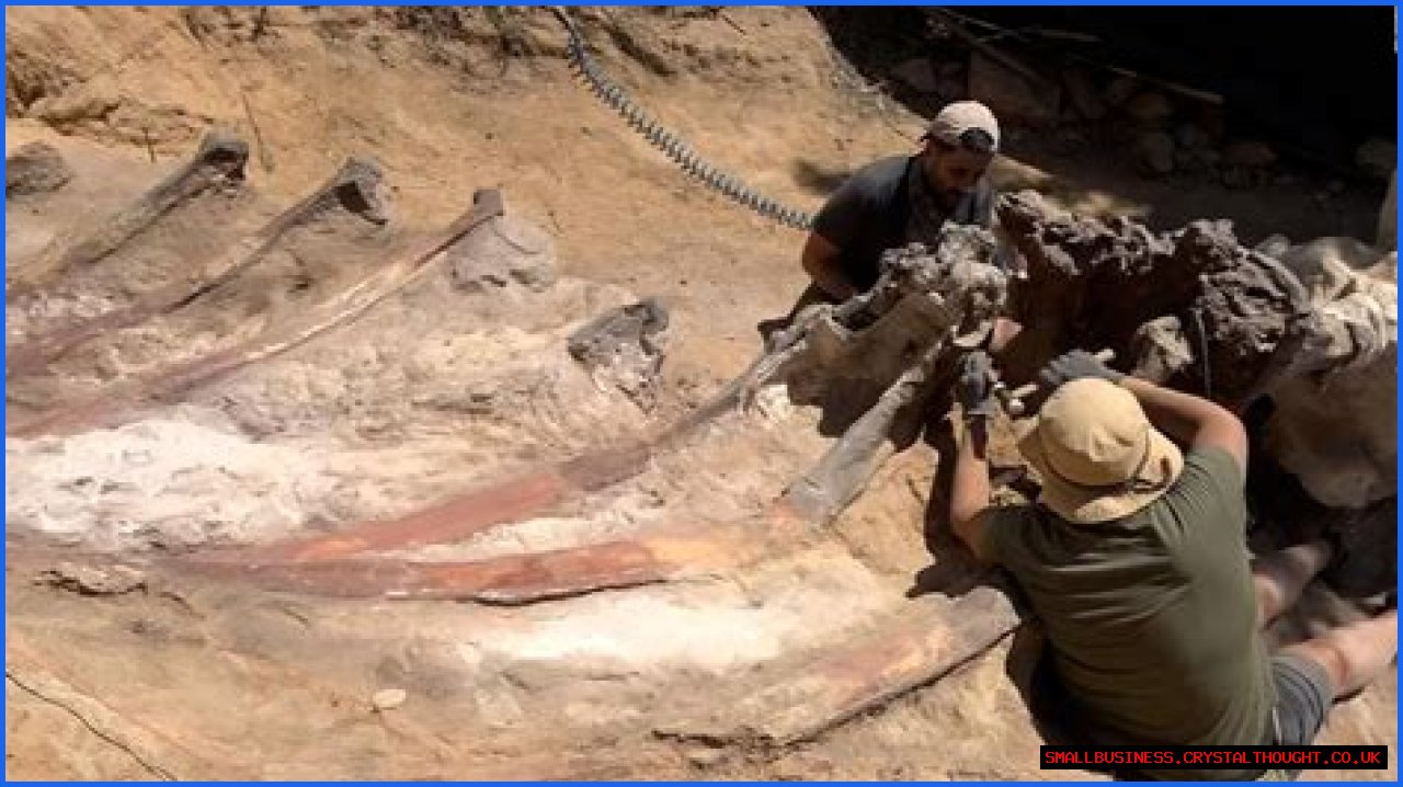 Digging Deep Into The Abby Berner Leaks: Uncovering Secrets And Consequences